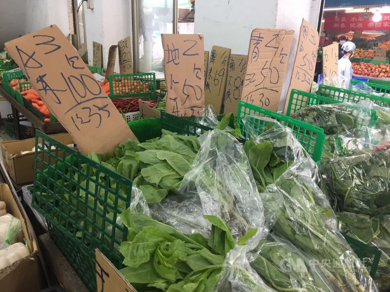 蔬菜批發價創6月豪雨以來最高　颱風過後可望回穩
