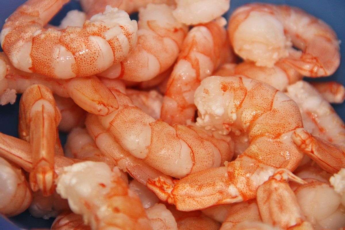 ▲蝦子鮮甜的肉質深獲不少老饕喜愛，唯一麻煩之處就是必須剝殼。（示意圖／翻攝自Pixabay）