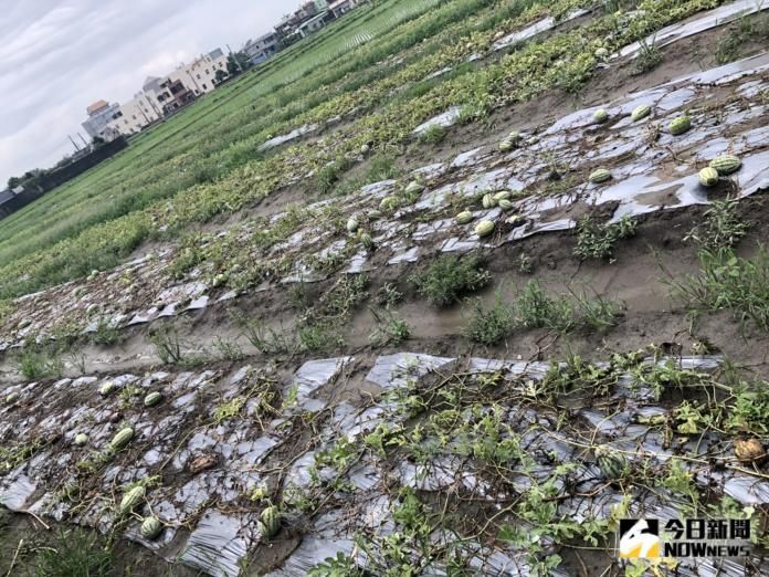 ▲農委會表示，這波豪雨造成全台農損近1.8億元。（圖／NOWnews資料照）