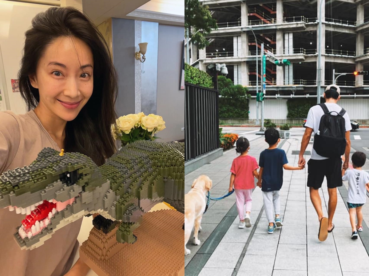 ▲隋棠曬四寶拉不拉多導盲犬。（圖／翻攝隋棠臉書）