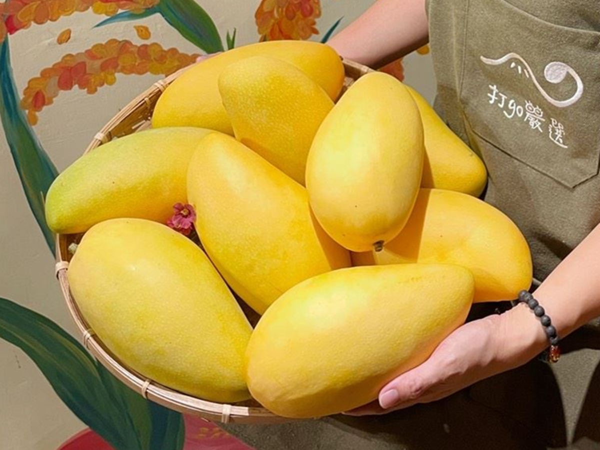 ▲此次受到橋斷影響的桃源區3里，也是高雄金煌芒果的產區之一。（圖／高雄市政府提供）