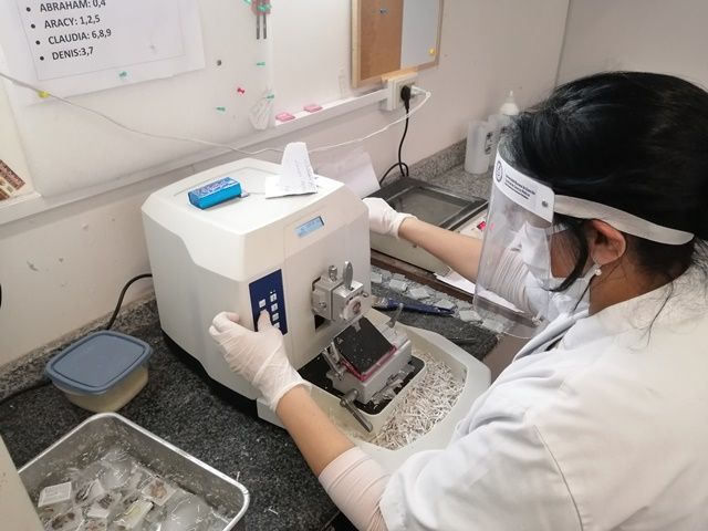 ▲高端疫苗三期試驗，亞松森大學在發布的新聞稿中將我國國名簡稱為「中國-台灣（China-Taiwán）」，外交部表示巴國已更正。（圖／亞松森大學網站）