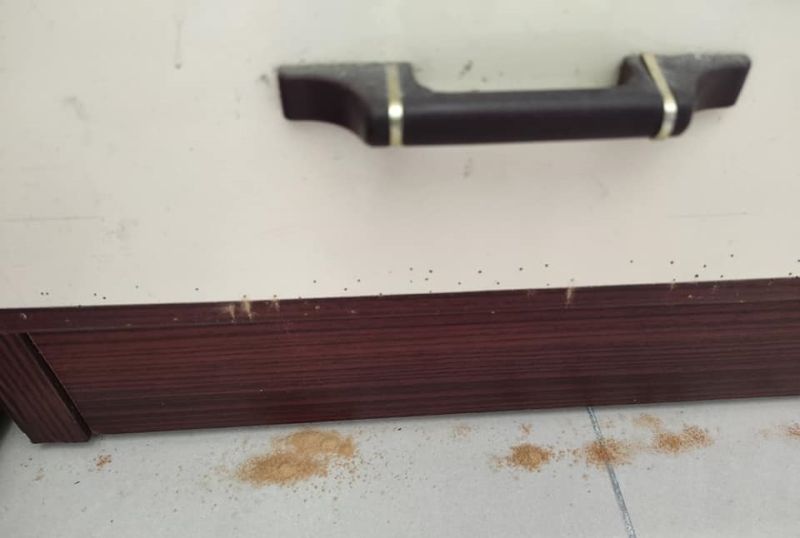 老家具旁狂掉落「木頭粉末」!內行人秒揪真兇:不是白蟻