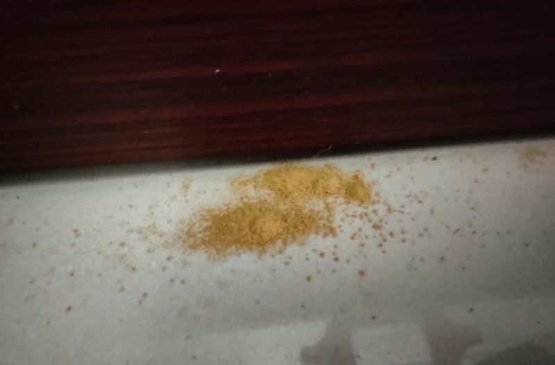 ▲有網友發現,家中的老木櫃時常冒出「木頭粉末」,畫面曝光立刻有過來人直指真兇是「白蟻」。(圖/翻攝爆系知識家)