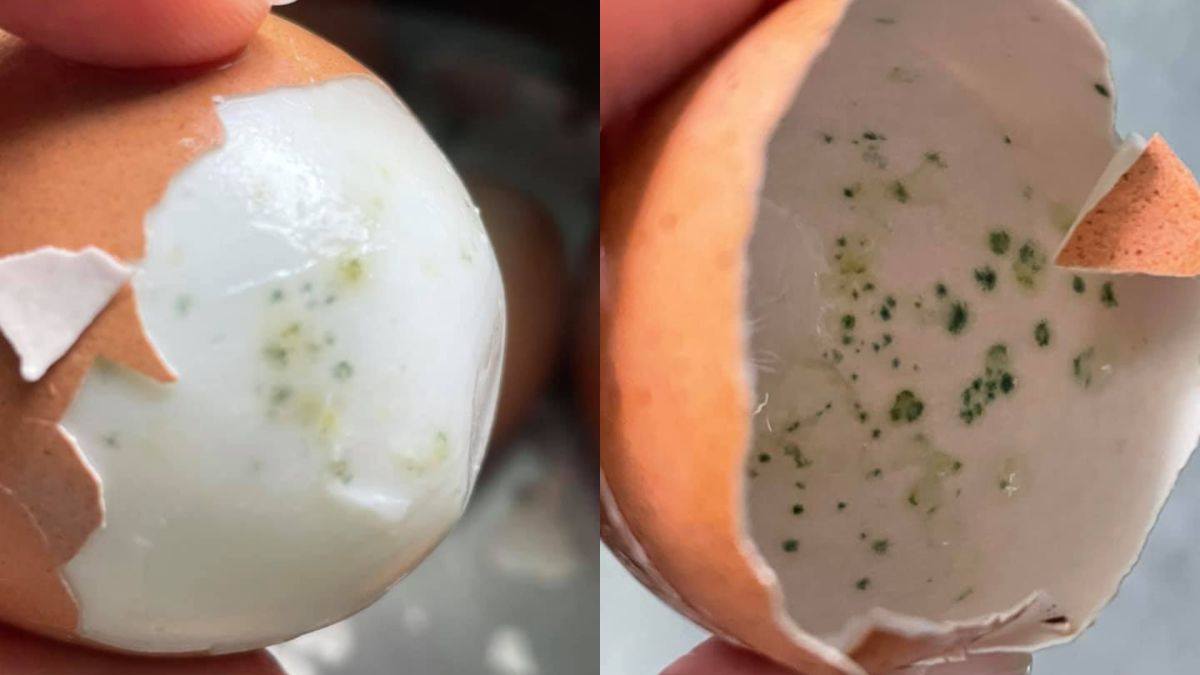 ▲網友煮完家中的蛋後，一剝開才發現有綠色斑點。（圖／翻攝廚藝公社）
