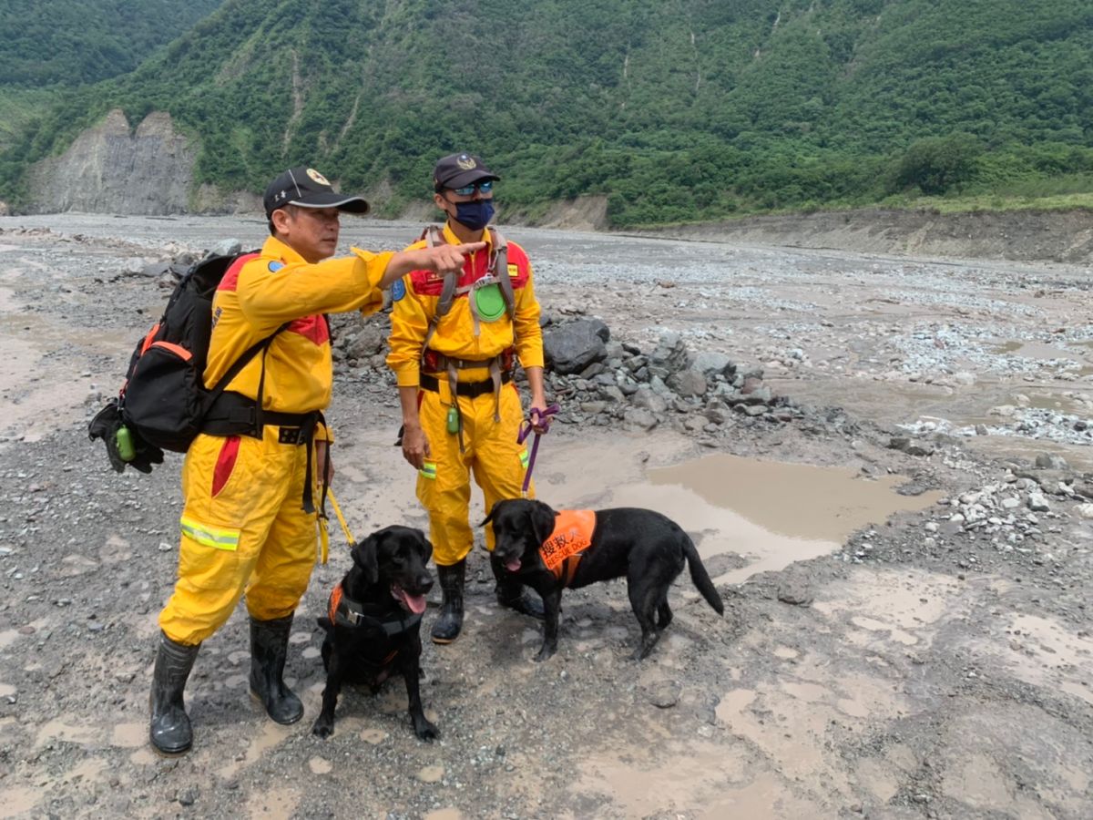 ▲搜救人員帶著搜救犬，在明霸克露橋附近持續尋找桃源區民代謝宜真。（圖／翻攝畫面）