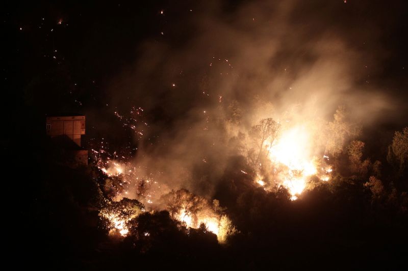 阿爾及利亞野火肆虐釀65死　28名救援軍人殉職
