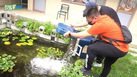 ▲YouTube頻道「含羞草」將公司庭園的生態池，改造成釣蝦池。（圖／含羞草　授權）