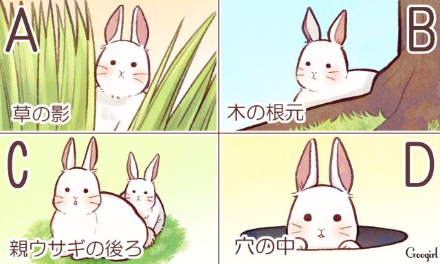 ▲日本網站Googirl分享了一項心理測驗，兔子想藏身時會躲在哪裡？秒測你的戀愛心理。（圖／翻攝自Googirl網站）