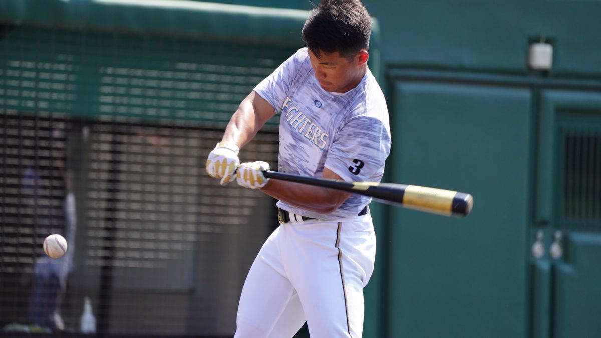 ▲日本火腿台灣好手王柏融（圖／取自火腿官網）