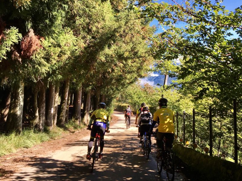 ▲3車友可暢騎挑戰梨山騎行路線，體驗沿途的自然林蔭，與山林密境道路(圖／參山處提供2021.8.15)