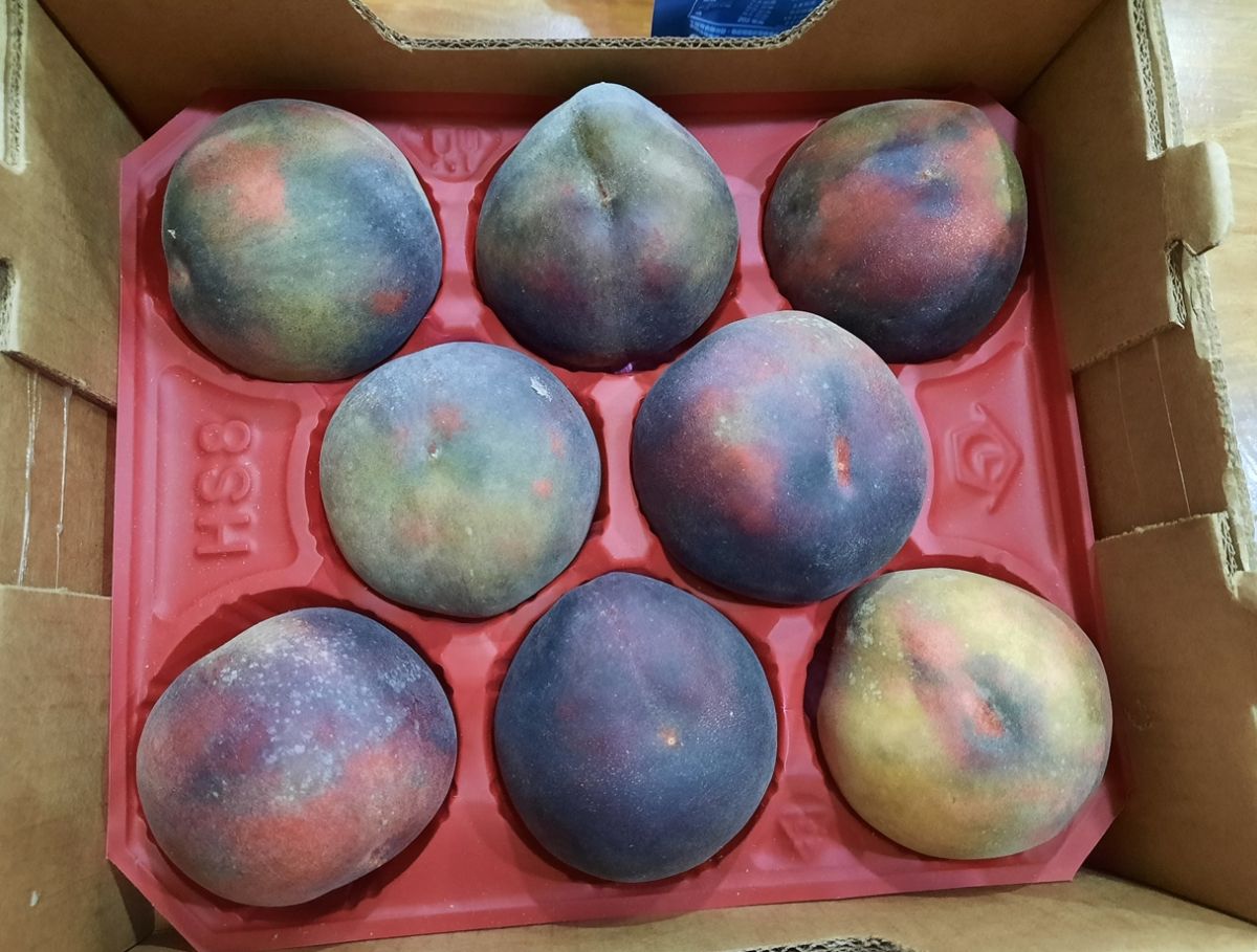 ▲一名女網友逛連鎖超市賣場時發現一款「星空系水蜜桃」，表皮呈現「瘀青」、「墨綠」的模樣相當吸睛也掀起網友熱議。（圖／翻攝自臉書）