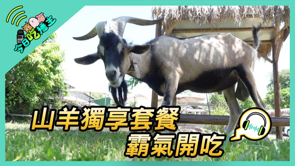▲山羊獨享套餐 霸氣開吃。(圖／NOWnews )