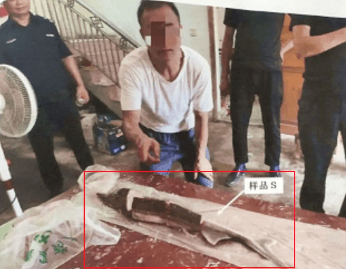 ▲安徽省一位齊姓男子不慎捕獲當地保育類「中華鱘」，還帶回家準備料理，最終被開罰上百萬元。（圖／翻攝《瀟湘晨報》）