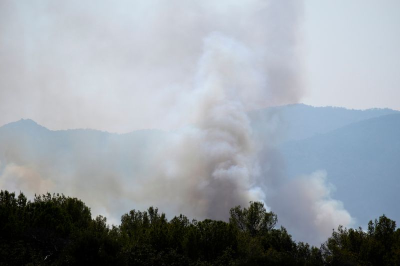 地中海地區又傳野火　法國南部數以千人緊急疏散
