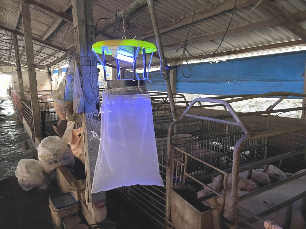 ▲屏東縣政府農業處提醒養豬戶，在養豬場內應加裝紗窗紗門、使用補蚊燈或驅蚊劑等以防止病媒蚊。（圖／屏東縣政府提供, 2021.08.19）