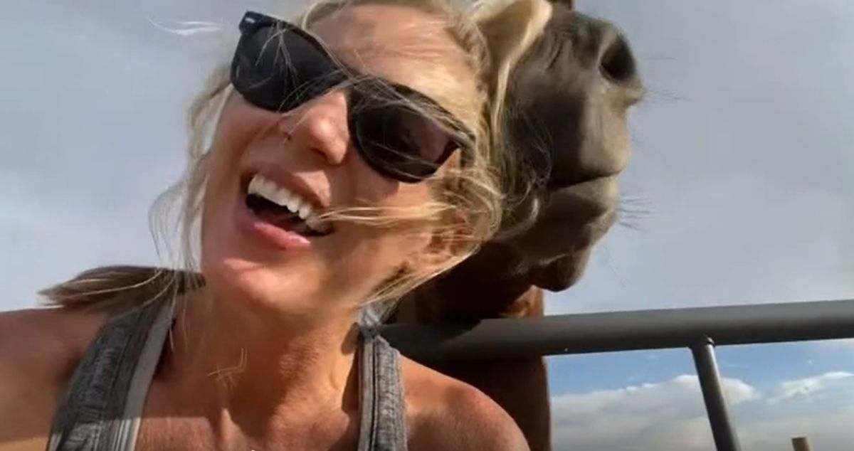 ▲頭髮被誤為是食物？馬兒吃的津津有味，她將過程PO上網。（圖／AP美聯社 & Megan Vaughan via Storyful）