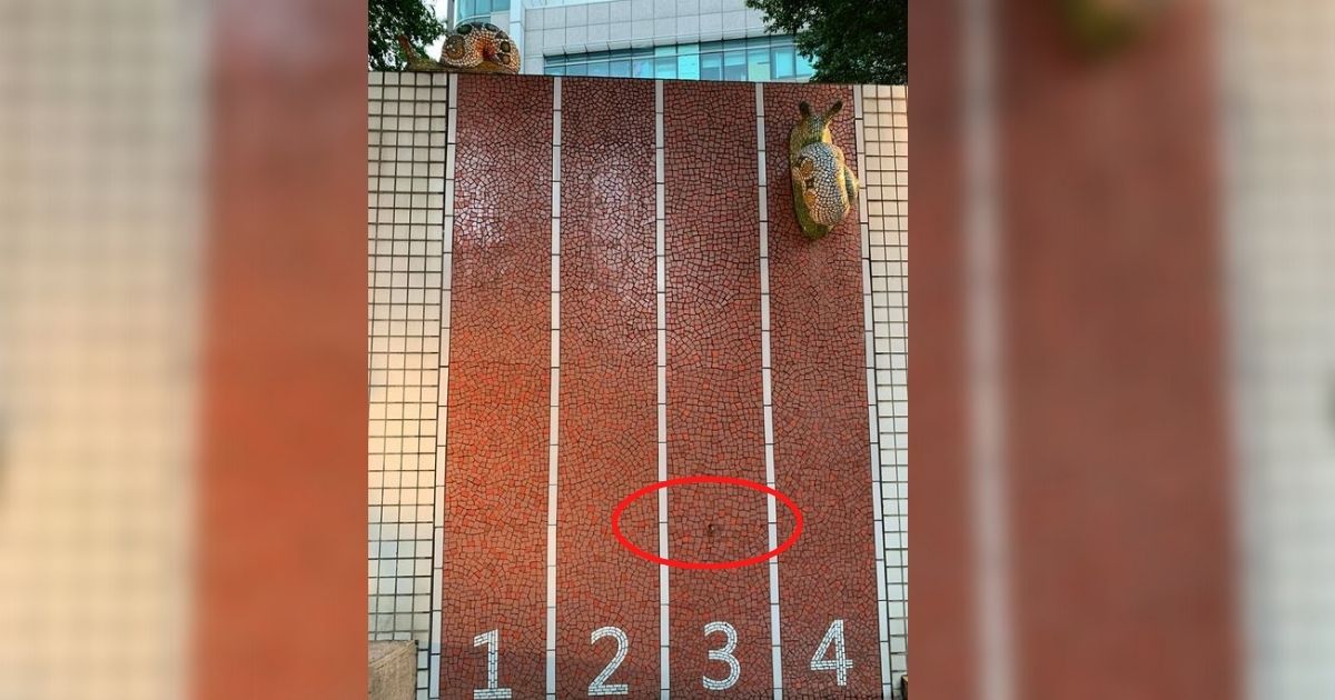 ▲一隻小蝸牛在一個「自己人」的裝置藝術上奮立的像上爬，畫面意外打動人心。（圖／網友橘子提供）