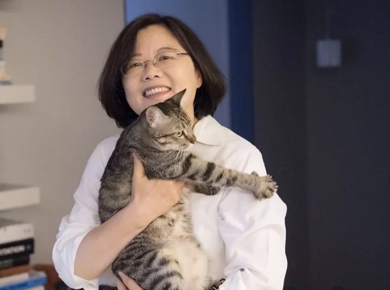 台灣可以如何完善寵物福祉？韓國擬修法給動物法律地位