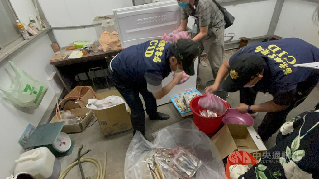 ▲國內查獲越南走私肉製品驗出非洲豬瘟病毒，苗栗警方配合追查可疑流向，在一名越籍配偶住家查獲300公克可疑豬肉製品，再追查出一個大冰櫃裝有約9公斤的牛肉製品、不明肉類加工食品及水產加工品等，已交由衛生、農業單位檢驗。（警方提供）中央社記者管瑞平傳真 110年8月24日