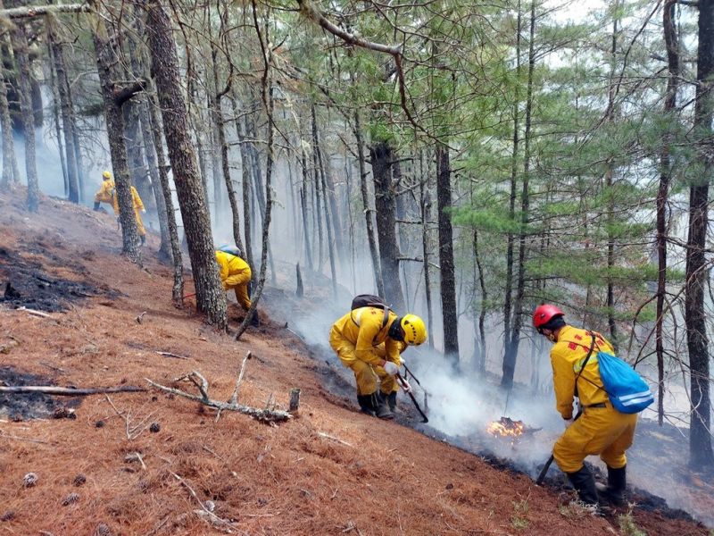 NCC前專委喬建中等人引發玉山森林火災　林務局求償逾2億
