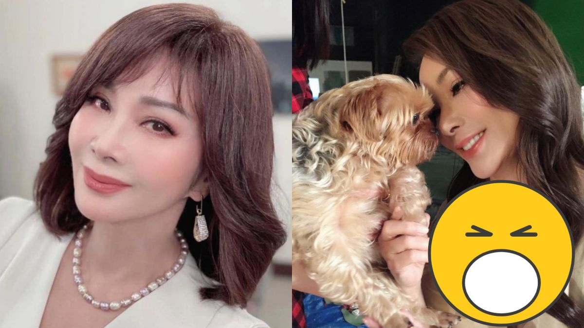 ▲陳美鳳分享與愛犬舊照，小露事業線。（圖／陳美鳳臉書）