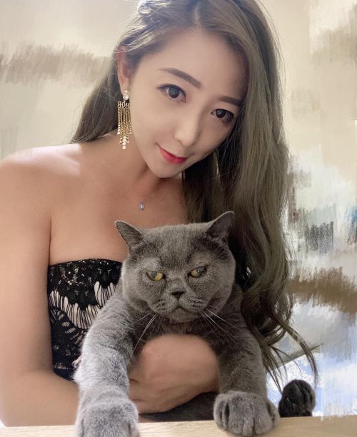 ▲但跟飼主感情很好,貓貓這是在捍衛自己的地位?(圖/網友松噯授權提供)