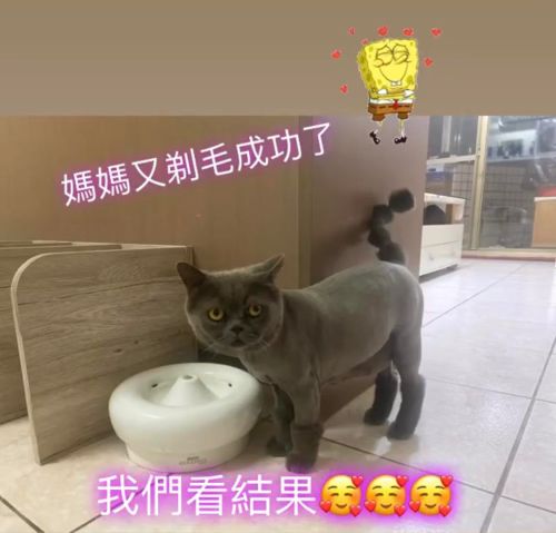 ▲天天閃亮登場!(圖/網友余佳陵授權提供)
