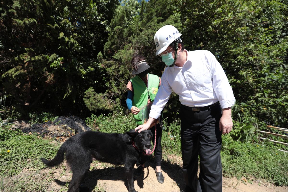 ▲基隆市長林右昌呼籲大家「以領養代替購買」，這樣才能杜絕非法走私的業者，減少不必要的遺憾。（圖／基隆市政府提供）