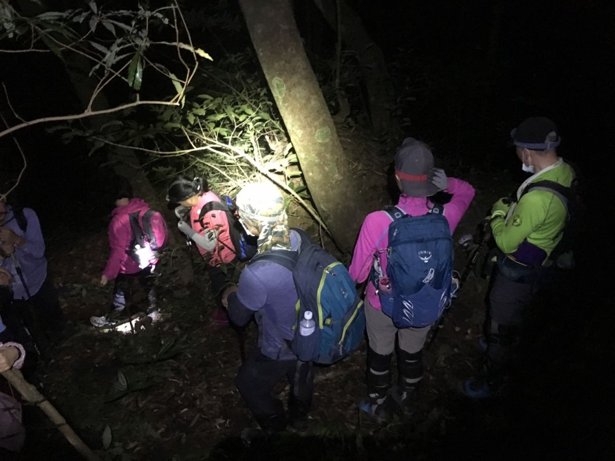 ▲27位民眾在復興區赫威山白沙瀑布附近登山迷途，大溪警方與消防分隊及山地義警組成搜救小隊，於當晚21時許成功接觸待救民眾。（圖／大溪分局提供）