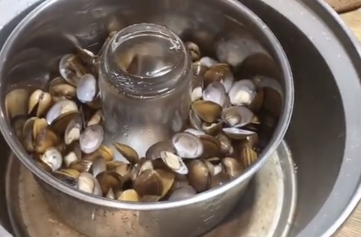 ▲網友分享自己用電鍋煮蛤蜊時，會在中間擺上一個倒蓋的杯子。（圖/抖音＠nono90324）