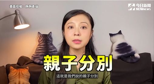 ▲很多小貓長大到一定的樣子,通常會被母貓趕走到外面獨立生活,就是所謂的「親子分別」。(圖/靜靜養貓