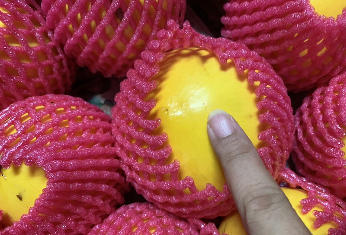 ▲近日有網友在臉書社團「爆系知識家」透露，自己沒看過外型渾圓、顏色呈現金黃的水果，並請益大家「這水果的名稱是？」對此，內行一看秒解，另還有專業吃貨直指「滴幾滴檸檬更好吃！」（圖／翻攝自行政院農委會農業試驗所）