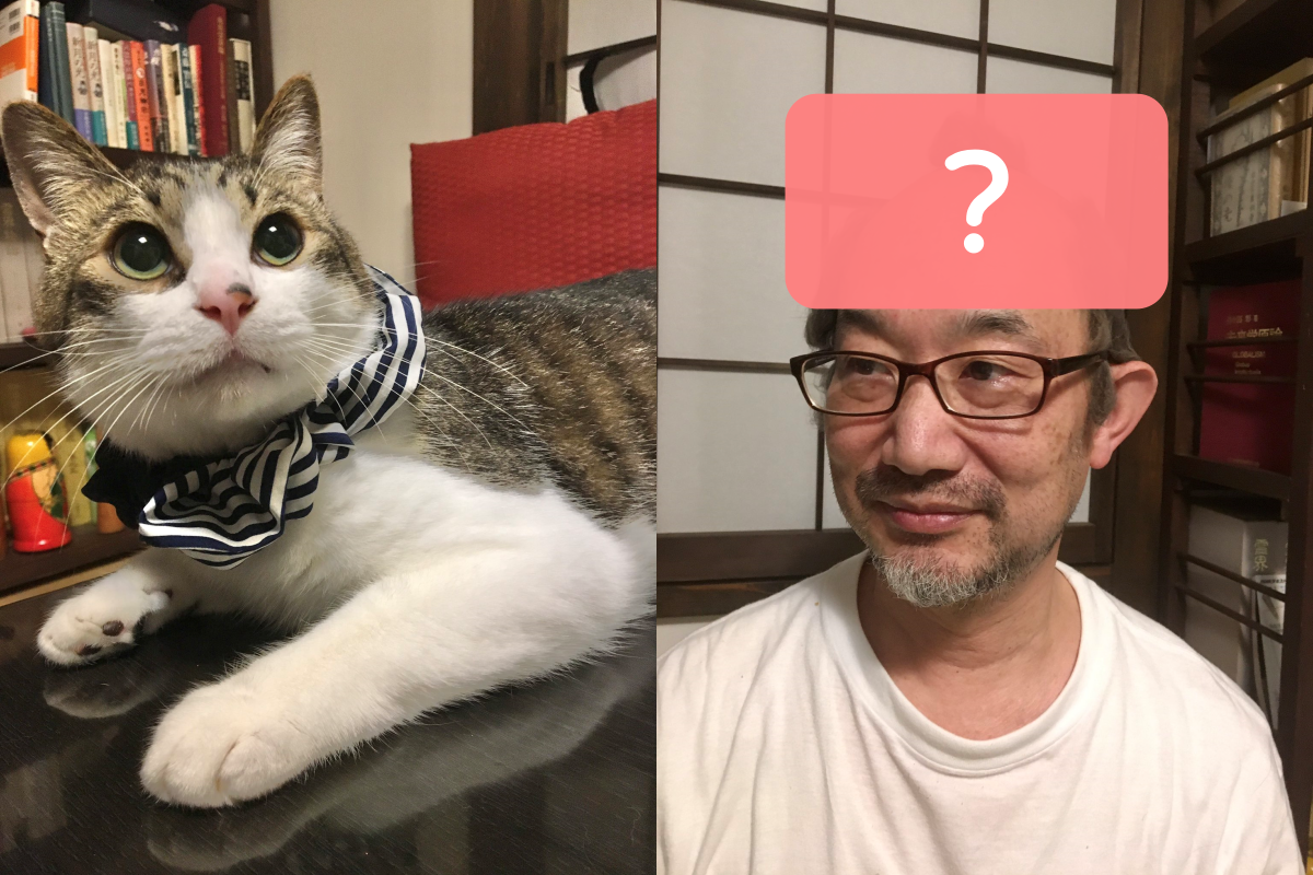 光頭大叔將貓毛做成頭髮，模樣非常爆笑！（圖／Twitter帳號：FujizoushiBot） 