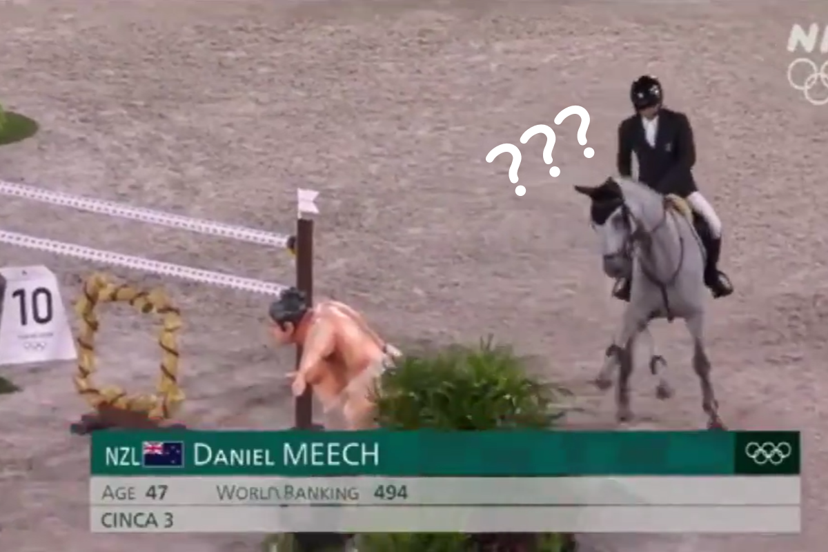 馬在障礙練習賽中被相撲裝飾嚇到，連連倒退好幾步！（圖／Twitter帳號：198595Kozu） 