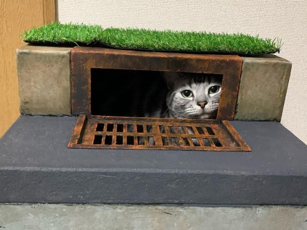 貓咪進駐《牠》經典場景　網驚：我願意被誘拐！