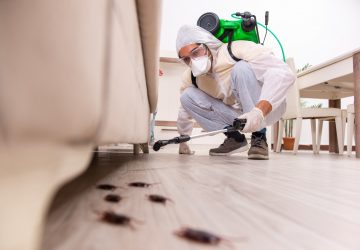 ▲男網友好奇「怎樣才能零蟑螂」，就有婆媽揭1招，讓「小強全跑光」。（圖／Shutterstock）