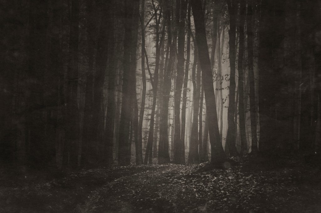 山間夏日飛車 示意圖／shutterstock