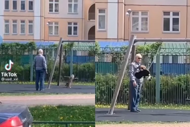 俄羅斯一名阿公帶貓去公園散步，沒想到貓咪突然想玩盪鞦韆！（圖／Tik tok帳號said_xxl）