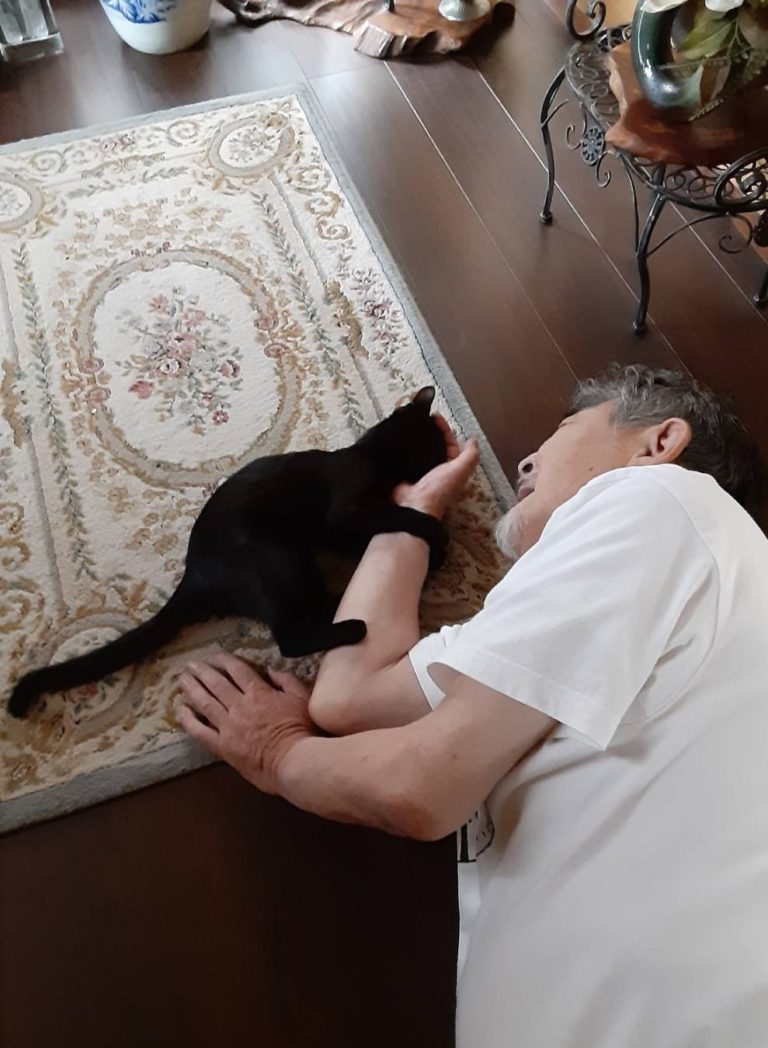 貓咪抱著伯伯的手磨蹭撒嬌！（圖／Twitter帳號：turi2018）