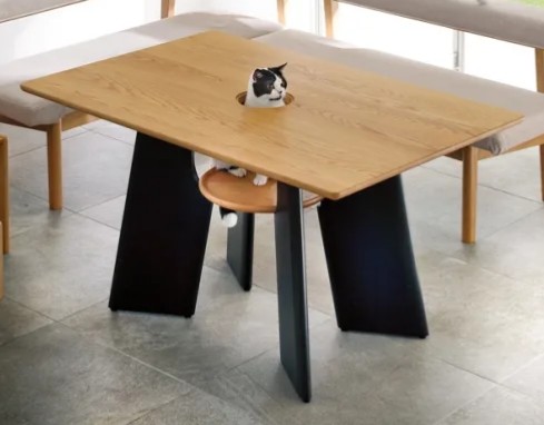 桌子中間挖了一個小洞，貓咪可從此探頭賣萌！（圖／Twitter帳號：miki_m_1102）