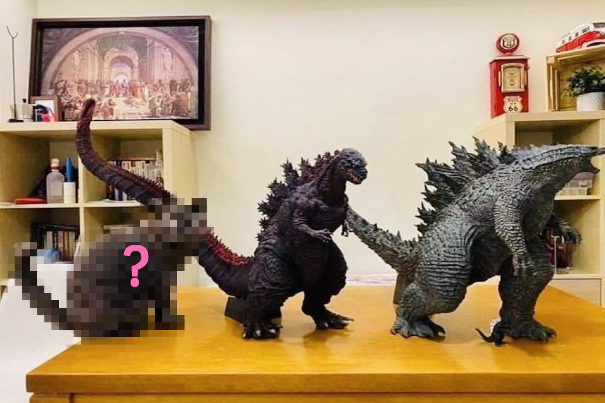 日前一名網友分享了哥吉拉的進化史照片，卻被網友笑翻了！（圖／reddit帳號Thereaper29）