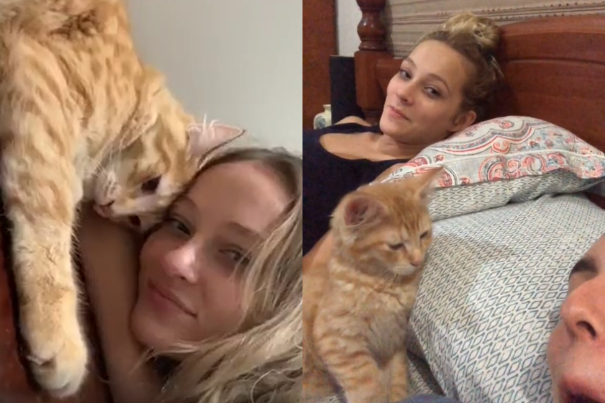 小橘貓屁顛走向女人，下一秒的行為使全場無聲歡呼！（圖／TiKTok帳號：smitherschips、josieberardi） 