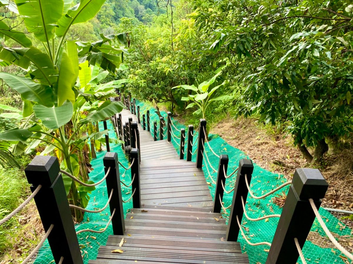 ▲大坑9號步道完工開放通行(圖／觀旅局提供2021.9.1)