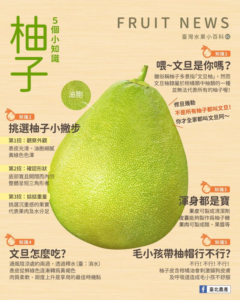 ▲專家分享柚子的5個實用小知識。（圖／翻攝自臺北農產臉書）
