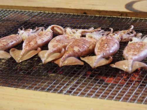 ▲農業部水產試驗所也曾解答，魷魚、透抽等生物的體表分泌之黏液多由醣蛋白組成，這些物質碰水時，就容易產生泡泡。（示意圖／翻攝photoAC）