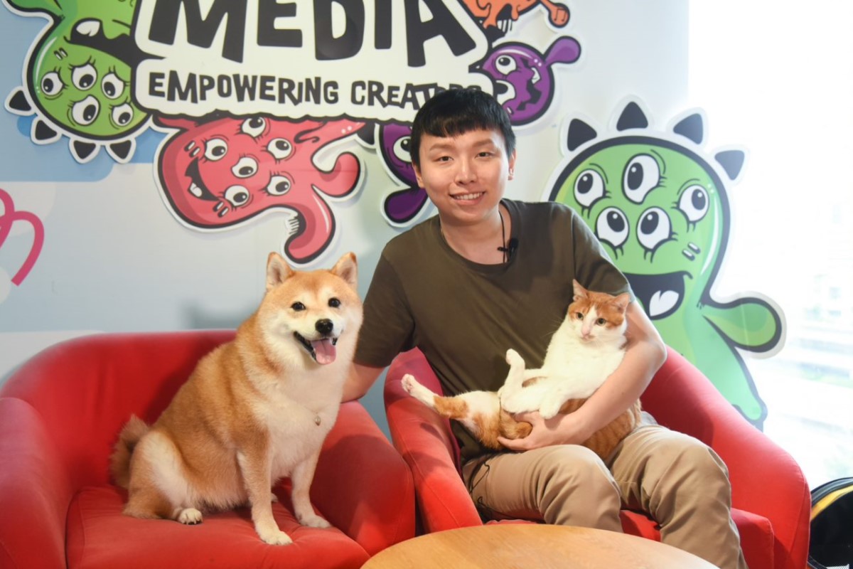 ▲爆紅柴犬Nana收編愛滋浪貓　，飼主阿愣透露貓犬的動人相遇！