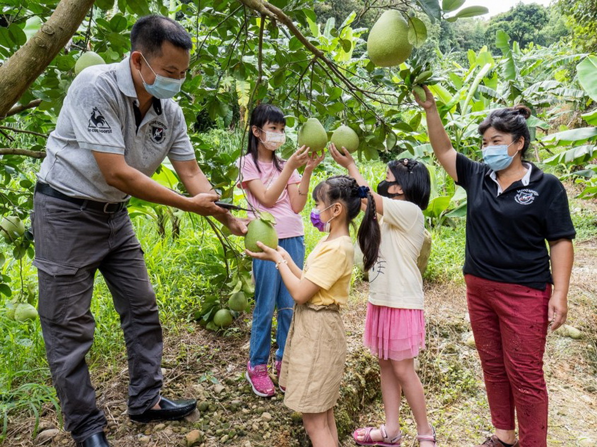 ▲八里區新住民關懷協會理事長武氏芳恆特帶著新二代們來到開心果園提前度中秋，一起採果製作越南果凍月餅、手作燈籠。（圖／新北市政府民政局提供）