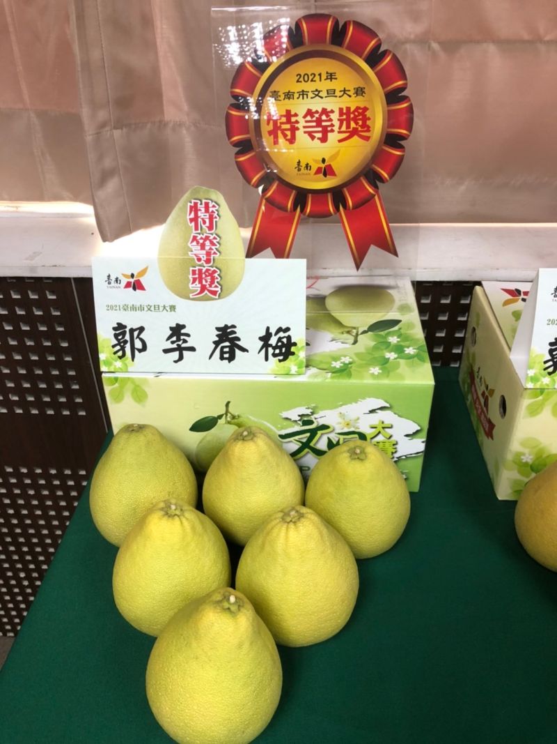 ▲獲得特等獎的文旦外觀個頭較小,但甜度佳、肉質細(圖/記者林怡孜攝,2021,09,06)