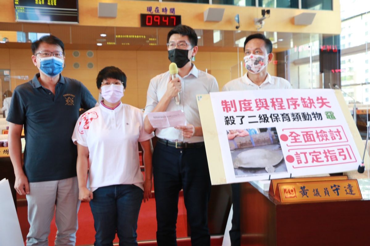 ▲中市二級保育動物「黿」死因，議員調查運輸過程無任何配套與保護，長期處在緊迫狀態，進食狀況不佳，導致嚴重的營養不良(圖／柳榮俊攝2021.9.6)